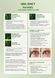 Фарба для вій,&nbsp;ELAN Lash Lift & Brow Lamination System&nbsp;KeraVEG, KeraTint, чорний, 10 мл 1107500 фото 5