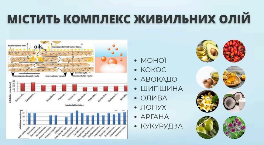 Концентрат для догляду брів, ELAN Brow Elixir 2.0, 10 мл 1103000 фото