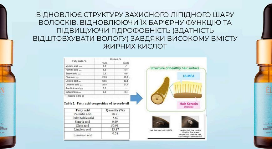 Концентрат для догляду брів, ELAN Brow Elixir 2.0, 10 мл 1103000 фото
