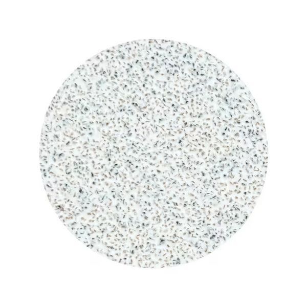 Змінні файли білі для педикюрного диска Pododisc Staleks Pro L 25 мм, 80 грит, 50 шт &ndash;&nbsp;PDF-25-80w PDF-25-80w фото