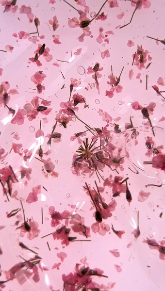Гель з сухоцвітами, Roks Boutigue Flowers Gel, №03, прозорий з рожевими квіточками, 5 мл 5902000044037 фото