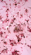 Гель з сухоцвітами, Roks Boutigue Flowers Gel, №03, прозорий з рожевими квіточками, 5 мл 5902000044037 фото 2