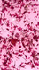 Гель с сухоцветами, Roks Boutigue Flowers Gel, №05, прозрачный с малиновыми цветочками, 5 мл 5902000044051 фото 2