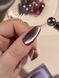 Гель-лак для ногтей с эффектом кошачьего глаза, DNKa Cat's Eye Silk, №0035, цвет: фиолетовый, 12 мл FTCGP0035 фото 4