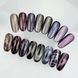 Гель-лак для ногтей с эффектом кошачьего глаза, NAILSOFTHEDAY Korean cat eye, №21, цвет: сливовый, 6 мл 4821236930000 фото 5
