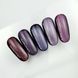 Гель-лак для ногтей с эффектом кошачьего глаза, NAILSOFTHEDAY Korean cat eye, №21, цвет: сливовый, 6 мл 4821236930000 фото 3