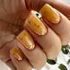 Гель для наращивания ногтей, PNB Builder Gel Flower, Marigold Mist, прозрачный с желтыми сухоцветами, 5 мл 3113955737 фото 3