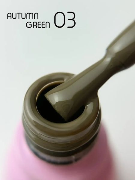 Гель-лак для ногтей, Toki-Toki Autumn Green, №AG03, цвет: коричнево-зеленый, 5 мл 2002AG03 фото