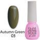 Гель-лак для ногтей, Toki-Toki Autumn Green, №AG03, цвет: коричнево-зеленый, 5 мл 2002AG03 фото 1