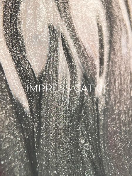 Гель-лак для ногтей с эффектом кошачьего глаза, Edlen Impress Cat Eye, №01, цвет: серебристый, 9 мл 4000372028 фото