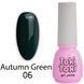 Гель-лак для ногтей, Toki-Toki Autumn Green, №AG06, цвет: темно-зеленый, 5 мл 2002AG06 фото 1