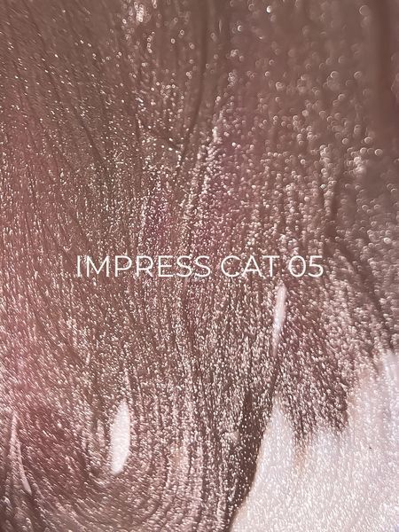 Гель-лак для ногтей с эффектом кошачьего глаза, Edlen Impress Cat Eye, №05, цвет: бежевый, 9 мл 4000372032 фото
